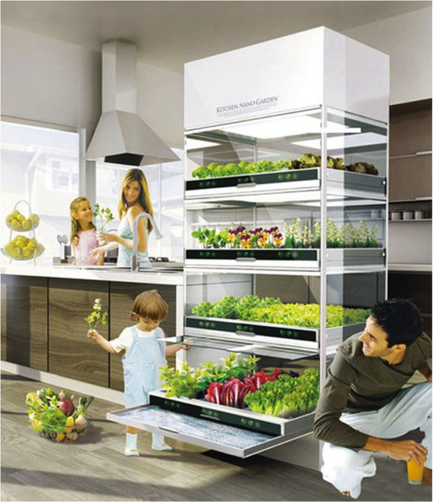 Photo inspiration: Modern Hydroponic Garden Ideas For Apartments Reference: Horta Hidropônica Automatizada Em Casa Ou Para Apartamentos