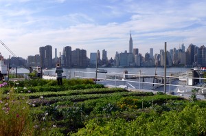 Horta urbana em telhado de nova york