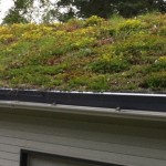 cobertura verde em telhas